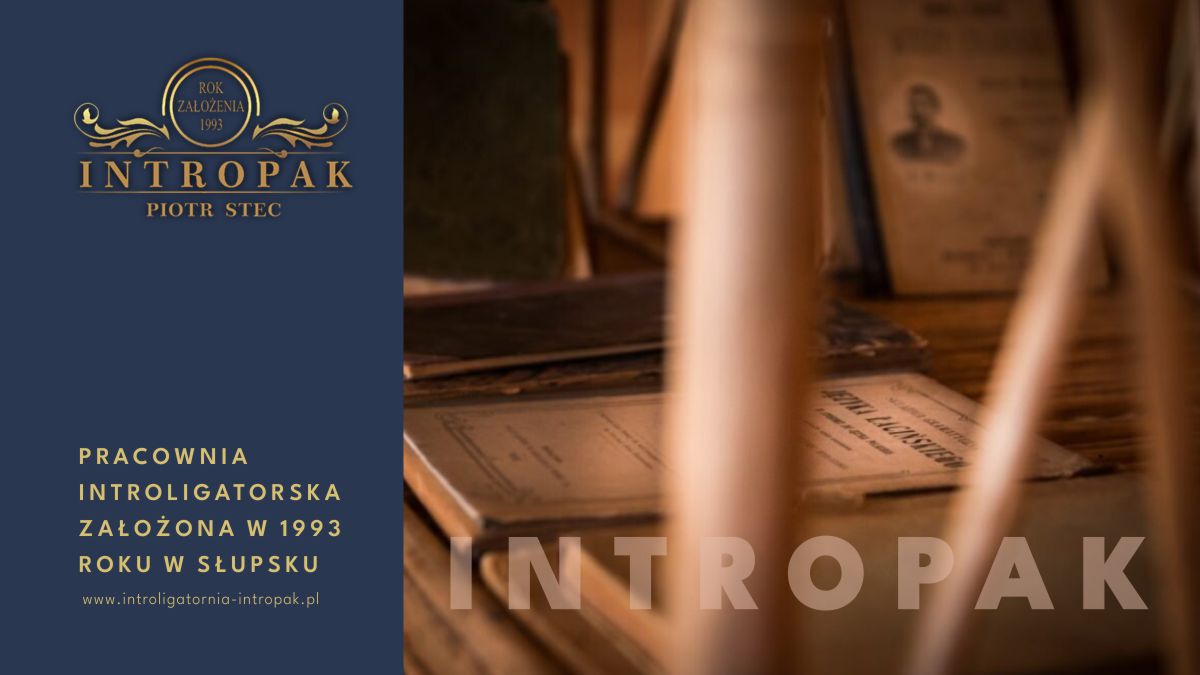 Intropak realizacja Wordpress 02