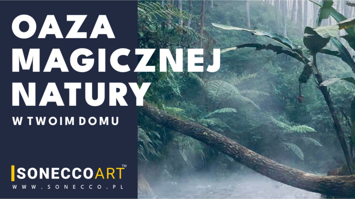 Sonecco realizacja Wordpress 04