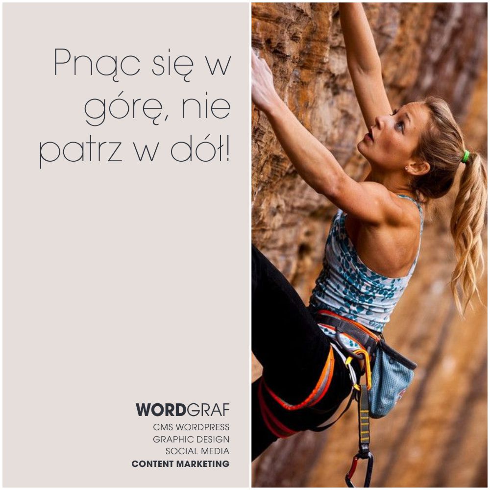 Zaplecze SEO WordGraf Studio Zaplecze SEO WordGraf Studio image top