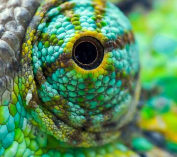 Spójna identyfikacja wizualna foto blog