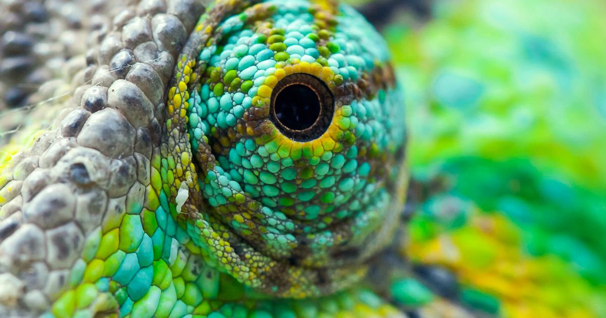 Spójna identyfikacja wizualna foto blog