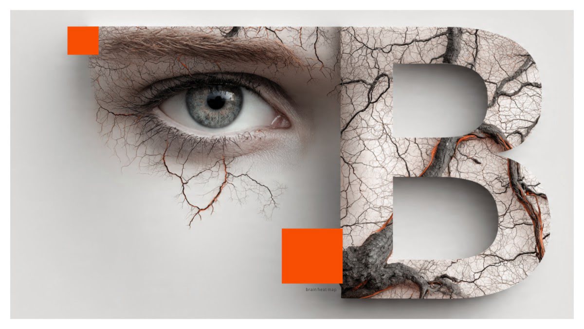 mapa cieplna mózgu - graf blog