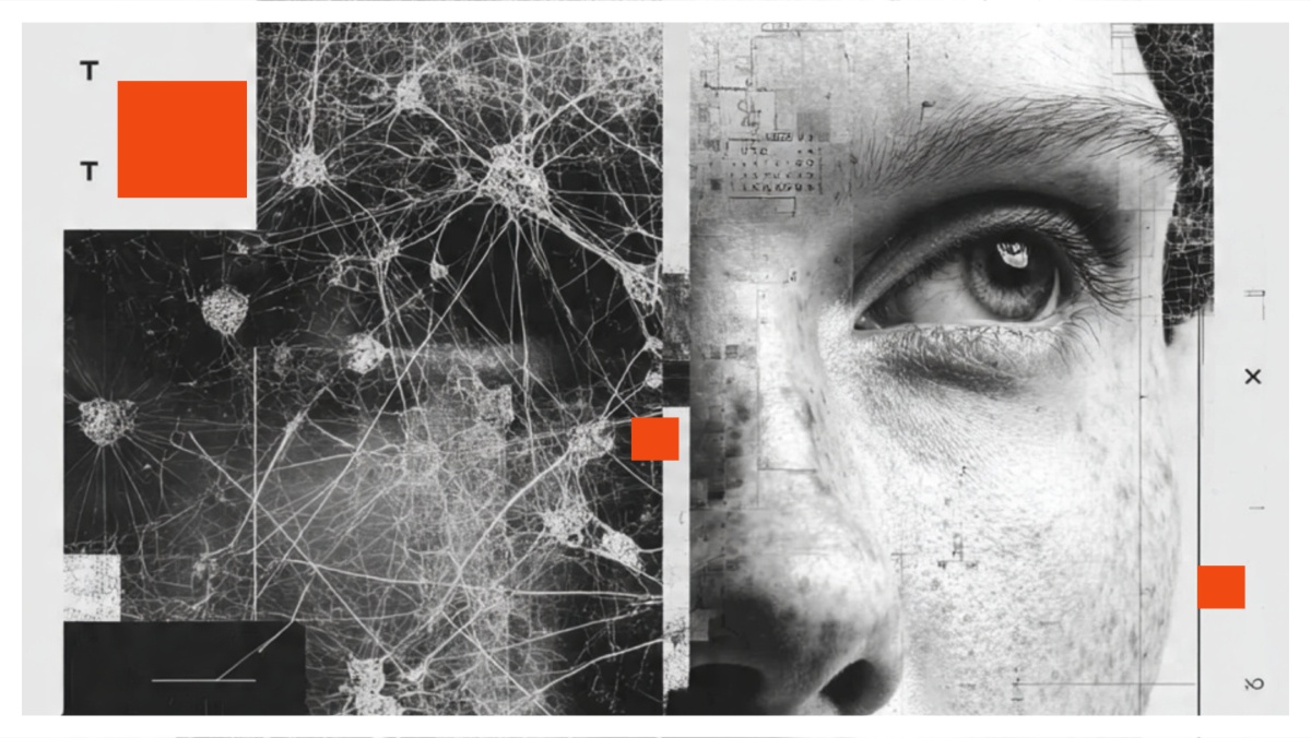 zmiana nagłówka zwiększyła liczbę zapytań - graf Blog