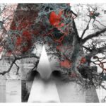 psychologia decyzji wizualnych - graf Blog