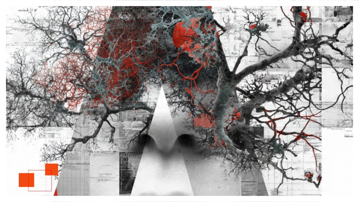 psychologia decyzji wizualnych - graf Blog